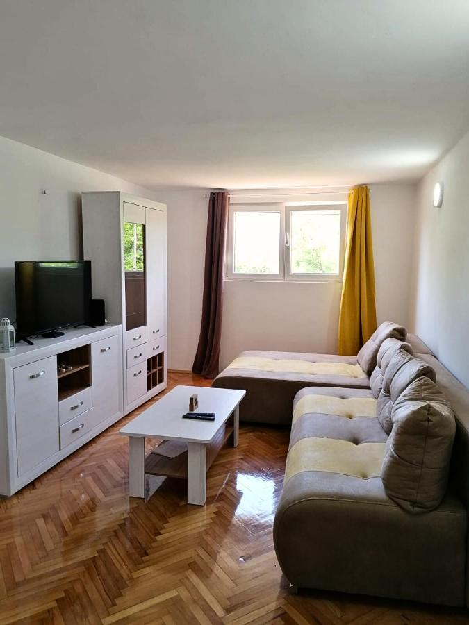 Apartment Novi Central تْشيرسيك نوفي المظهر الخارجي الصورة